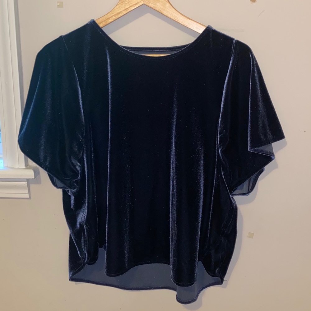 blue velvet top from madewell